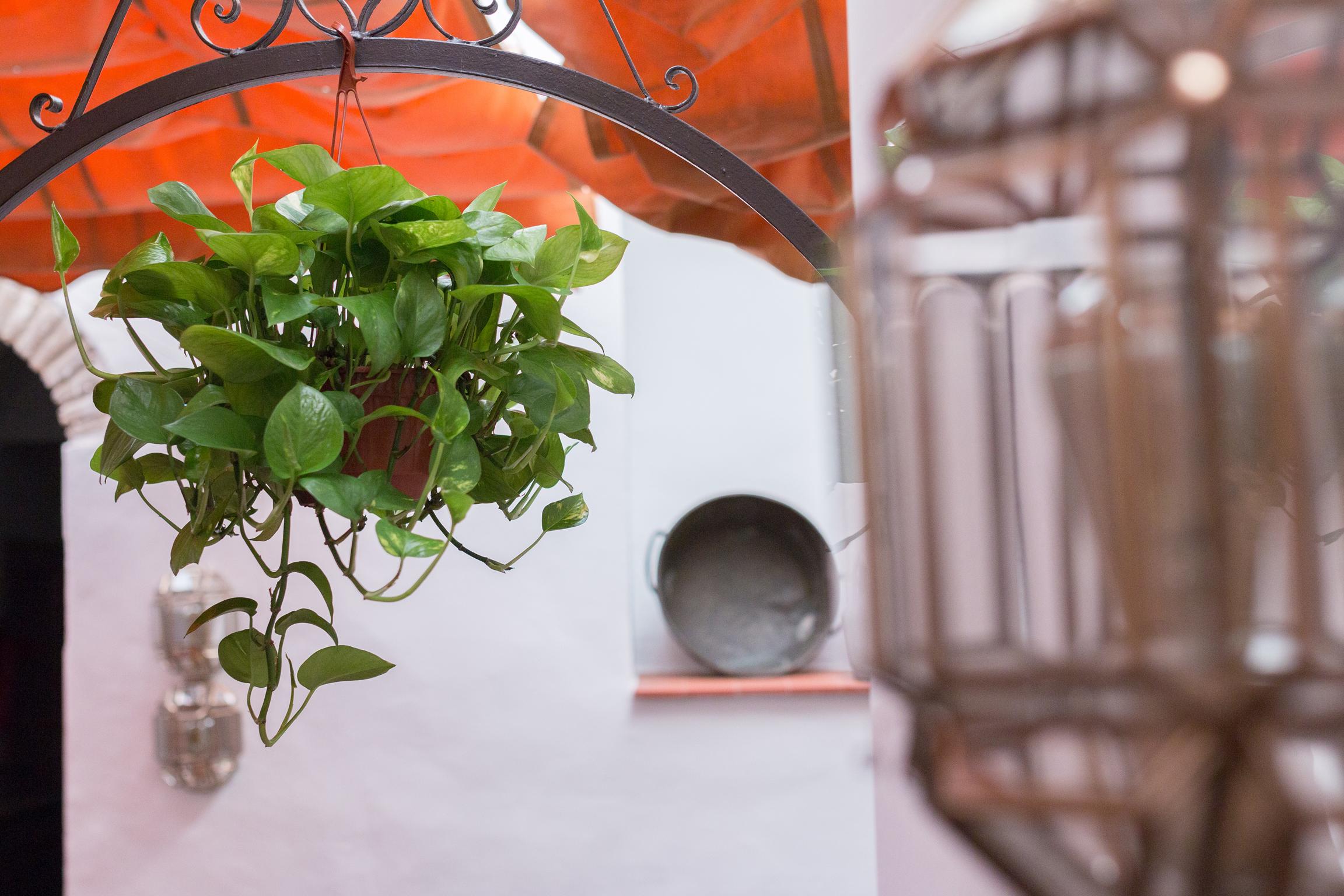 Los Patios Kordoba Bagian luar foto