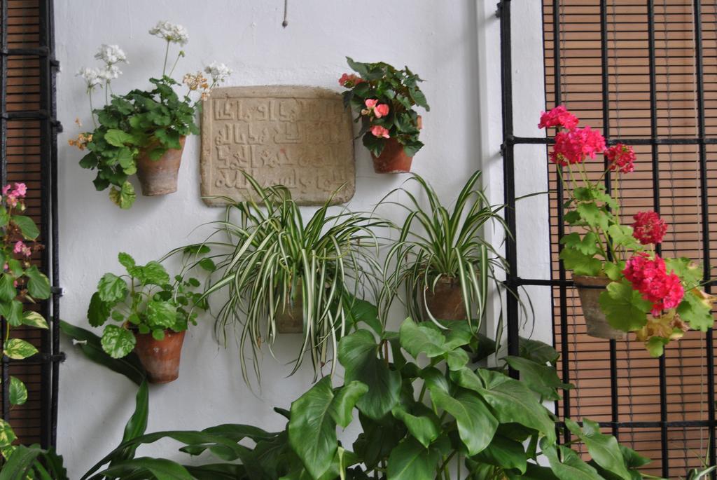 Los Patios Kordoba Bagian luar foto