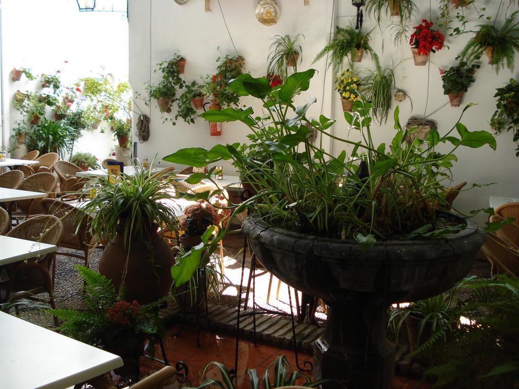 Los Patios Kordoba Bagian luar foto